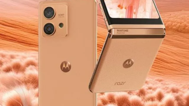 Pantone definió el color de 2024 y Motorola ya lo incorporó (dos celus bellísimos)